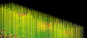 h_tiefensondierung_l